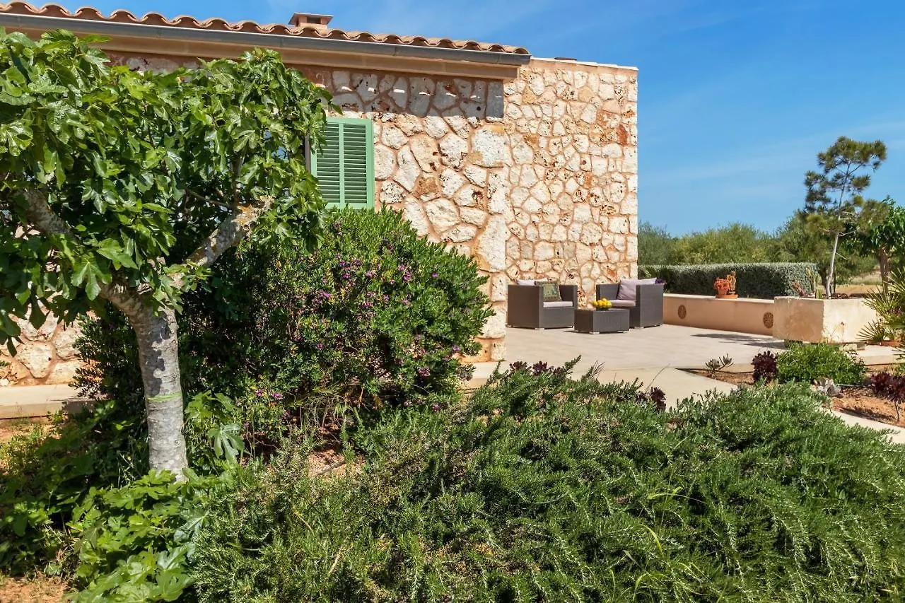 Finca Aubaco Villa Ariany